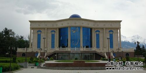 西安标准电梯有限公司最新经典工程(图3)