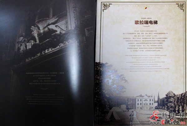 歌拉瑞电梯(图3)