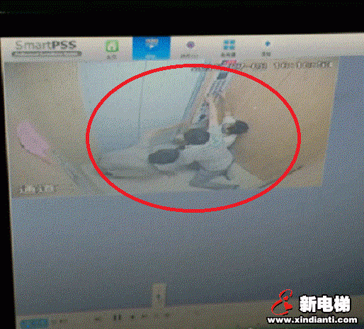 郑州最近不消停 电梯伤人 小区业主想退房(图1)
