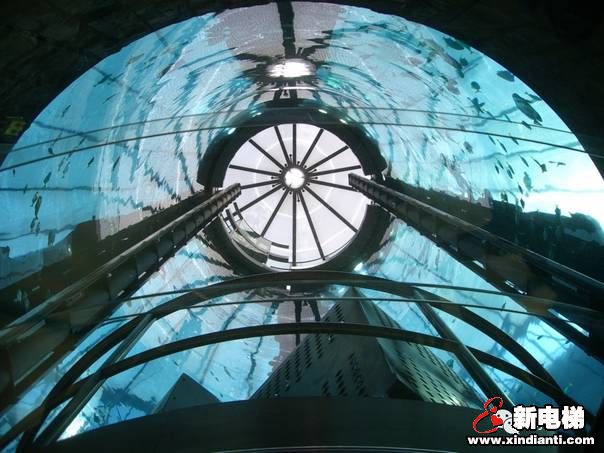 世界上最美的电梯，带你畅游海底世界(图8)