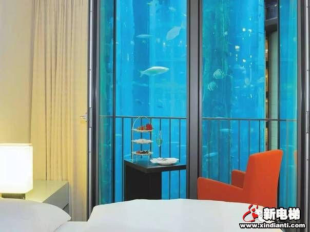 世界上最美的电梯，带你畅游海底世界(图12)
