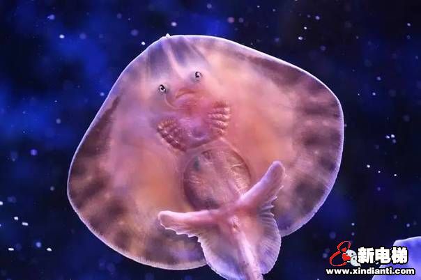 世界上最美的电梯，带你畅游海底世界(图15)