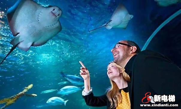 世界上最美的电梯，带你畅游海底世界(图20)