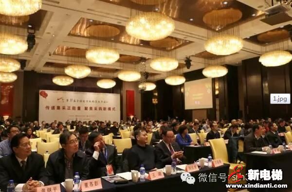 森赫电梯荣获2015全国政府采购十佳电梯供应商年度大奖(图2)