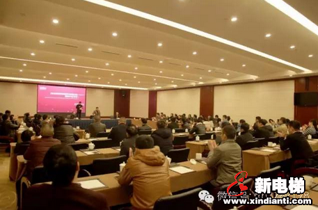 逆势而耀，顺势而为丨森赫电梯2016华南区域年会(图4)