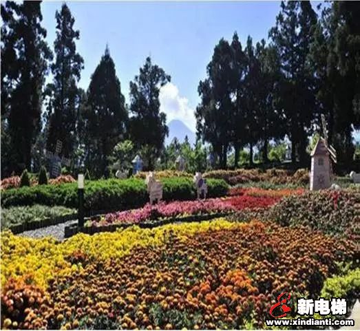 先定个小目标，去看看中国最长的斜行电梯吧(图8)
