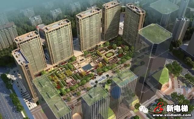 恒达富士电梯有限公司 成都分公司成功取得电梯A级安装维修改造许可证(图2)