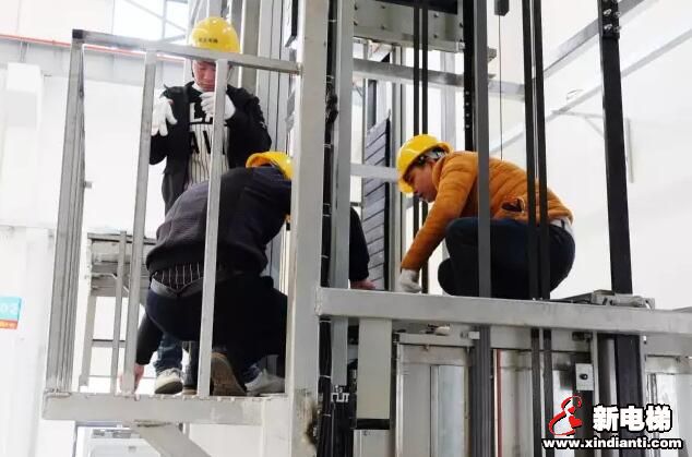 莱茵电梯励精图治 打造一流服务(图2)