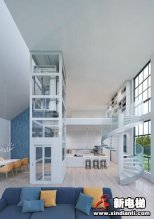 乐享生活，蒂森克虏伯全新推出朗瑞/H300家用电梯