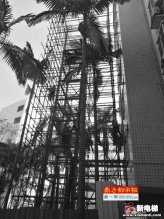 借国家级电梯产业基地优势 广东中山市打造旧楼加装电梯示范市