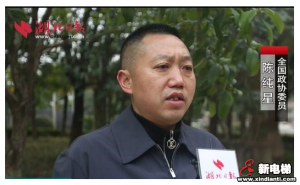 陈纯星委员：强大的制造业需要有力的金融“活水”