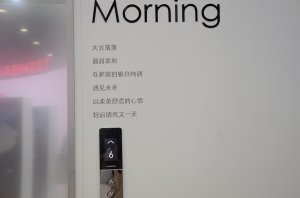 永大展台2018上海(图34)