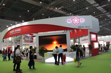 梅轮电梯展台2018上海