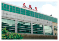 康力电梯股份有限公司国内经典工程(图13)