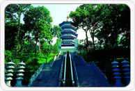 西子奥的斯公建场馆项目经典工程(图6)