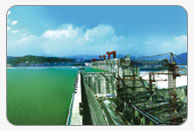 西子奥的斯公建场馆项目经典工程(图5)