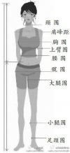 英媒发布女人性感身材标准：胸围为身高一半