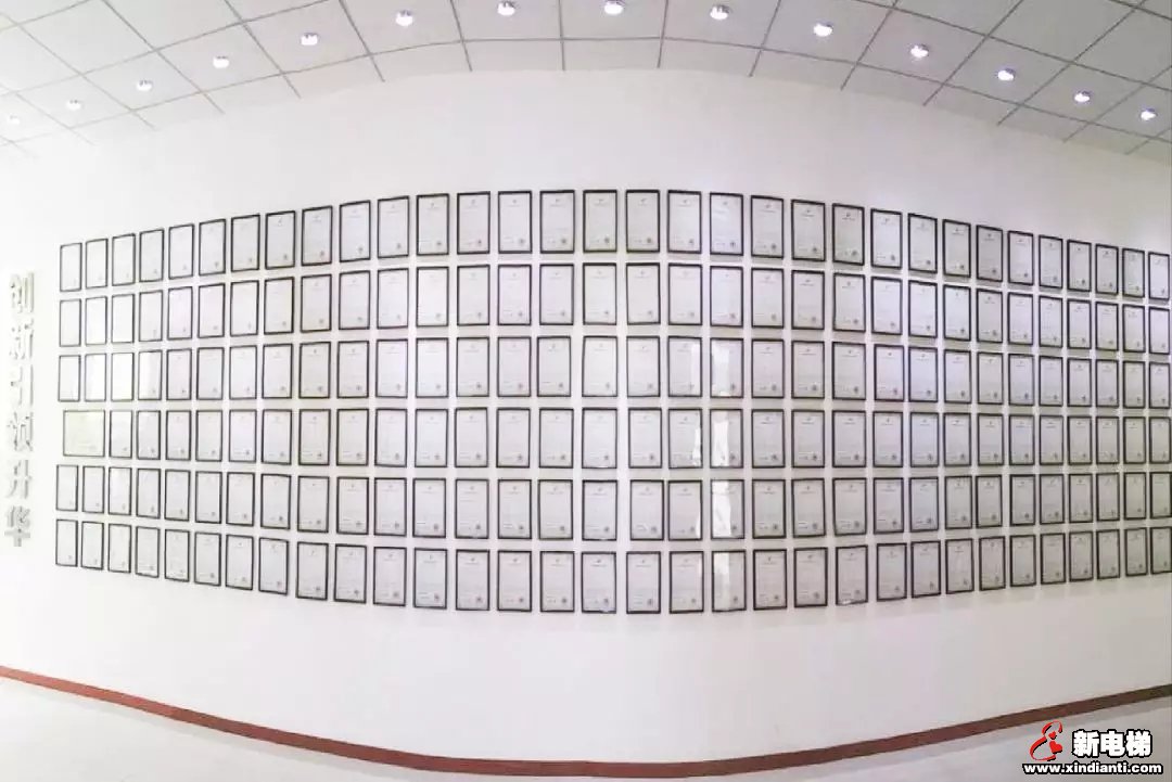 罗海闽：向阳花木易为春(图5)