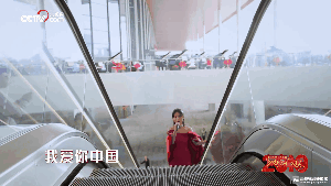 新电梯网首页 电梯资讯 企业新闻    安装于港珠澳大桥的蒂森克虏伯