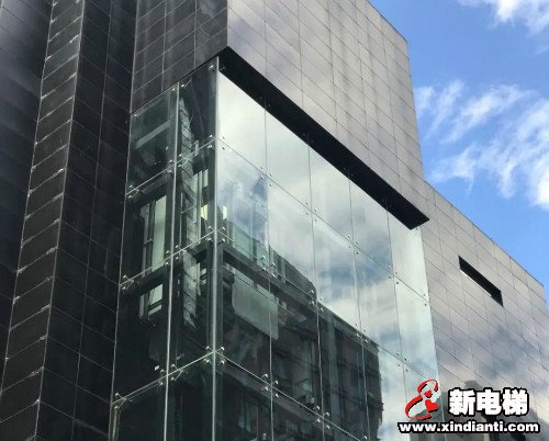 九游官网入口：聚势产业链共筑新标杆｜博奥腾专家鉴定会暨全球新品发布会圆满收官(图1)