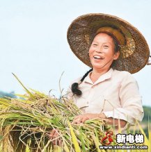 端稳饭碗，保障粮食安全有底气