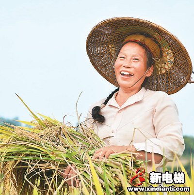 端稳饭碗，保障粮食安全有底气(图1)