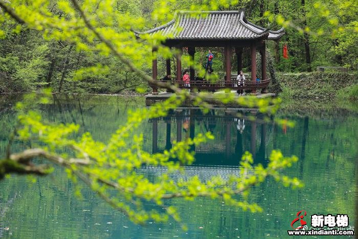 清明节假期国内旅游出游1.02亿人次(图1)