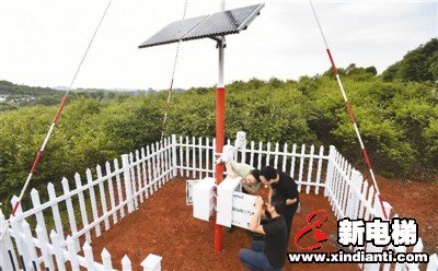 新技术助推“智慧三夏”(图3)