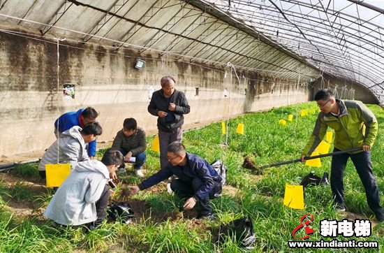 南开学生团队“以虫治虫”解决农残问题(图1)