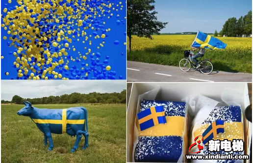 6月6日瑞典国庆节,CIBES带您走进瑞典(图2) 6月6日瑞典国庆节,CIBES带您走进瑞典(图2)