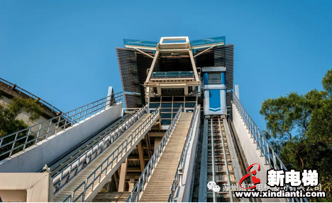 实力加冕！莱茵再获电梯世界金奖(图8)