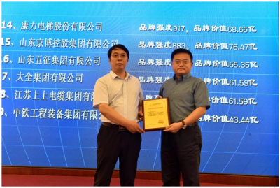 康力电梯参加2018全国质量品牌价值提升交流推广研讨会(图3)