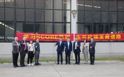 国际劳工组织SCORE项目全球总技术顾问迈克·埃尔金等一行走访森赫电梯(图3)