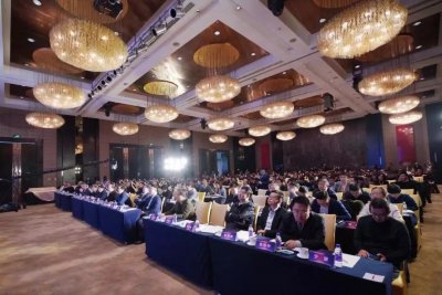 连续10年登榜！康力电梯再获2018年度全国政府采购大奖(图1)