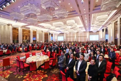 凝心聚力 幸福菱王—菱王电梯2019年新春联欢晚会隆重举行(图3)