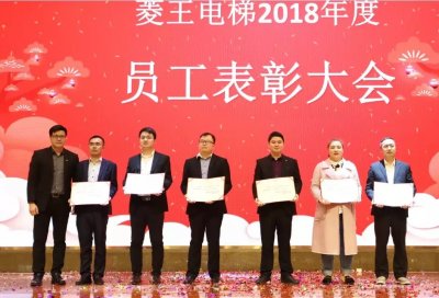 凝心聚力 幸福菱王—菱王电梯2019年新春联欢晚会隆重举行(图6)