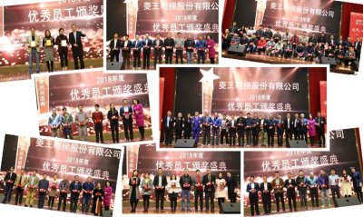 凝心聚力 幸福菱王—菱王电梯2019年新春联欢晚会隆重举行(图7)