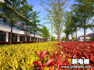 春色撩人丨一眼,就再也忘不了森赫这份春日生机(图3) 春色撩人丨一眼,就再也忘不了森赫这份春日生机(图3)