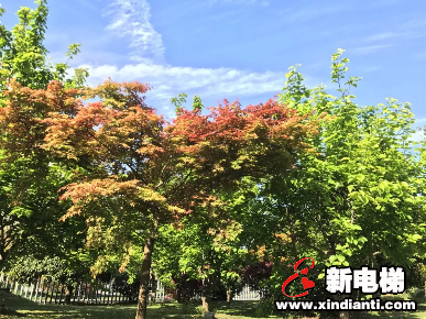 春色撩人丨一眼,就再也忘不了森赫这份春日生机(图7) 春色撩人丨一眼,就再也忘不了森赫这份春日生机(图7)