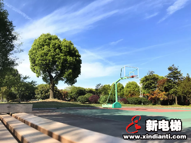 春色撩人丨一眼,就再也忘不了森赫这份春日生机(图10) 春色撩人丨一眼,就再也忘不了森赫这份春日生机(图10)
