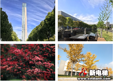 春色撩人丨一眼,就再也忘不了森赫这份春日生机(图13) 春色撩人丨一眼,就再也忘不了森赫这份春日生机(图13)