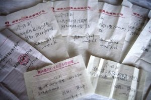 湖南官员抱团买地皮 局长民间借贷百万开发房产