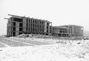 山东一镇政府800万农田上建政府楼 后因超支烂尾