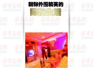 媒体揭朝鲜外围精英生活 熬通宵看《绝望主妇》