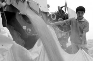 今年农业补贴金额或达到2000亿元 超去年规模