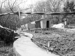南京雨花台烈士陵园现猪圈 称为让职工吃放心肉