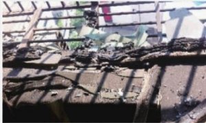 湖南株洲金园大厦29日凌晨失火 致6人死亡