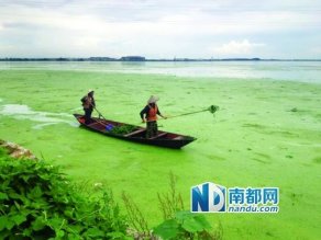 云南洱海以经济发展为前提治污 面临污染危险