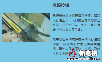 莱茵安全百科 | 如果能一键拯救世界(图2) 莱茵安全百科 | 如果能一键拯救世界(图2)