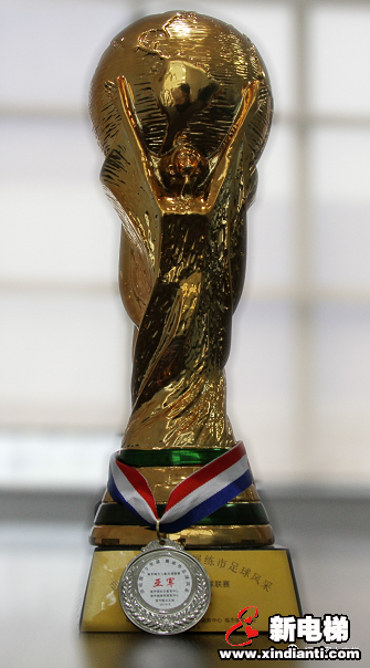 足间追梦·尽展风采——恒达富士足球队荣获练市镇五人制足球联赛亚军(图3)